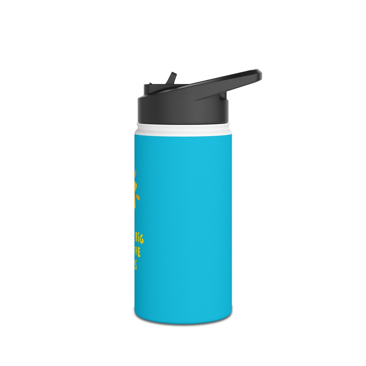 Kids Series - Dream Big - Stainless Steel Water Bottle, Standard Lid