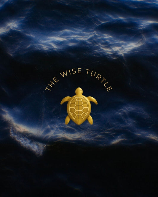 The Wise Turtle