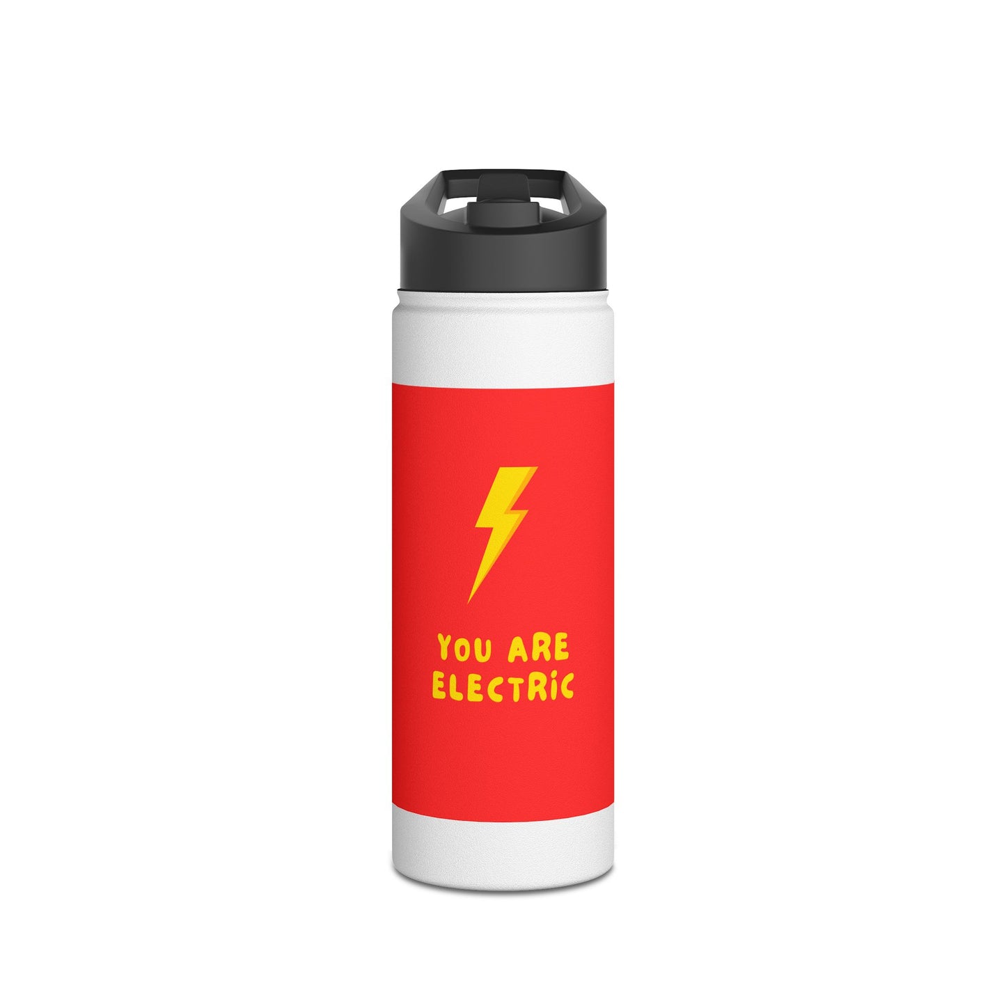 Stainless Steel Water Bottle, Standard Lid